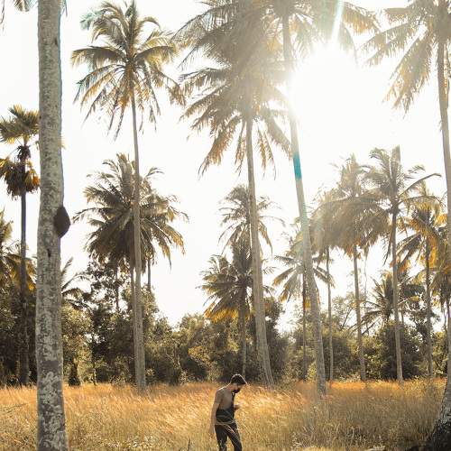 Photo #6553621