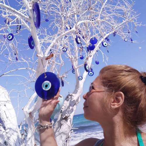 Photo #6553630