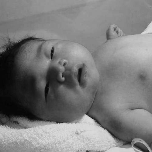 Photo #6553725