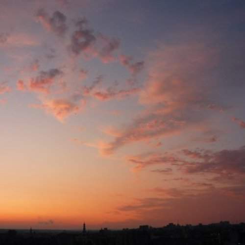 Photo #6554012