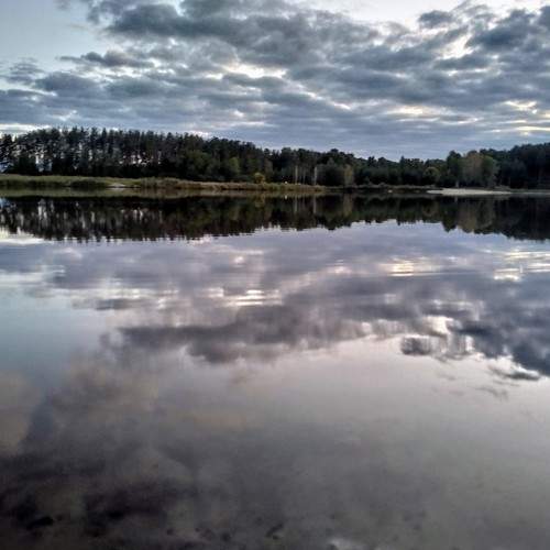 Photo #6554046