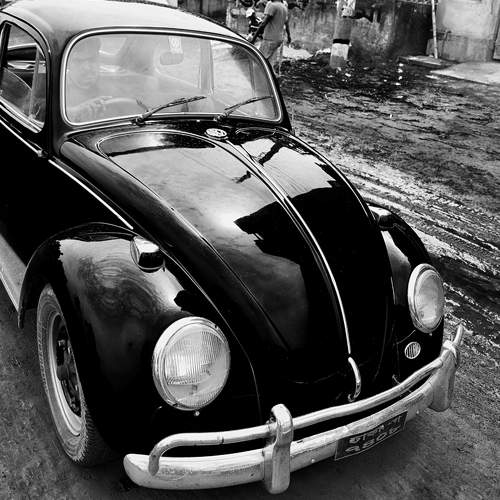 Photo #6554613