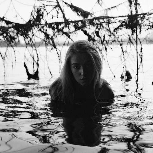 Photo #6554667