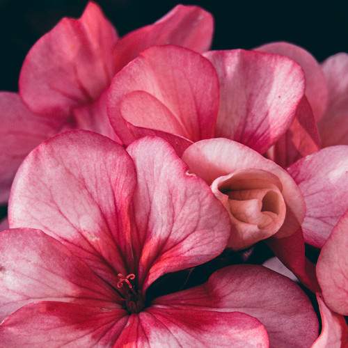 Photo #6554793