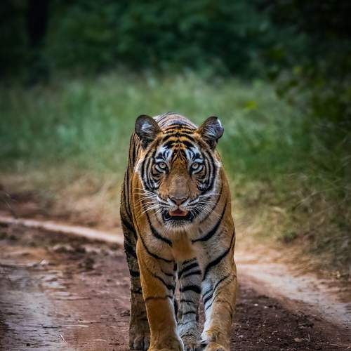 Photo #6554837