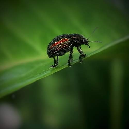 Photo #6554880