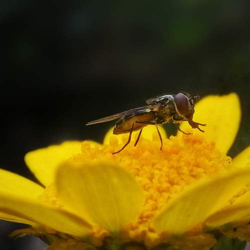 Photo #6554881