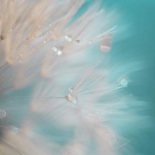 Photo #6555050