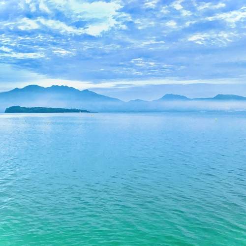 Photo #6555114