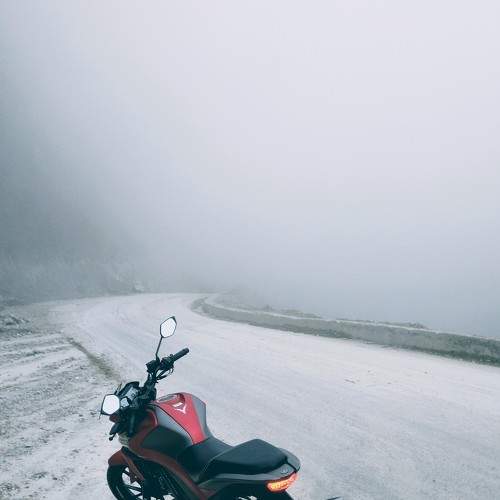 Photo #6555345