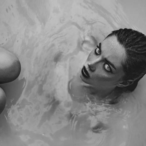 Photo #6555389