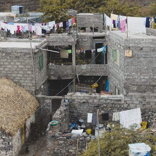 Photo #6555482