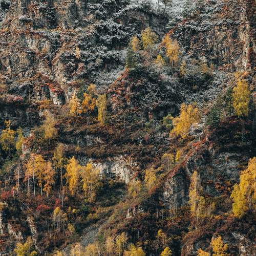 Photo #6555726