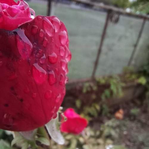 Photo #6555757