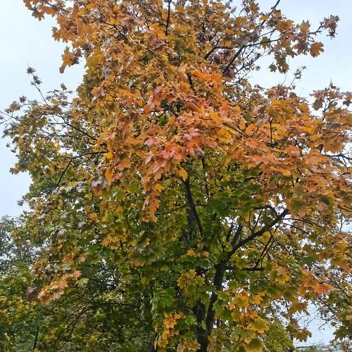Photo #6555771
