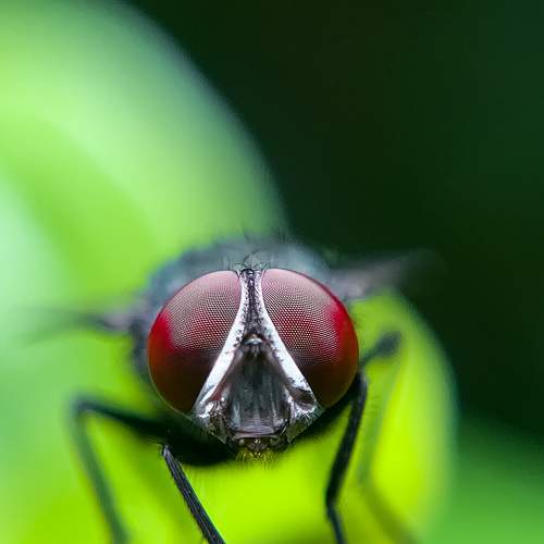 Photo #6555901