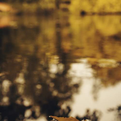 Photo #6556314