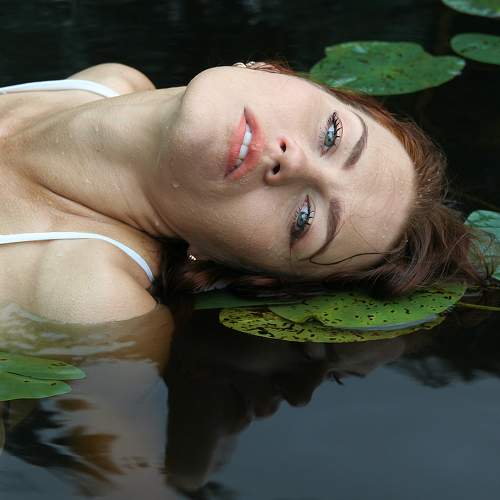 Photo #6556320