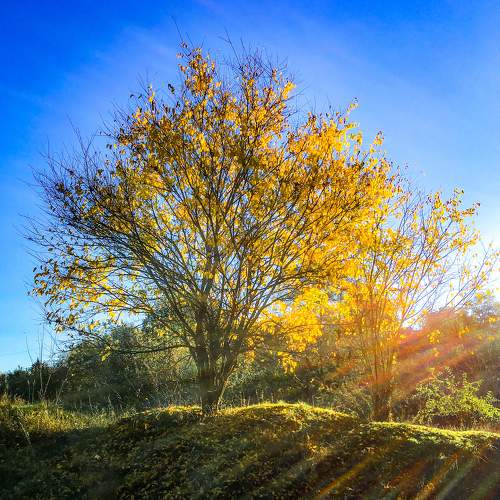 Photo #6556324