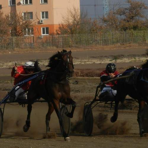 Photo #6556327