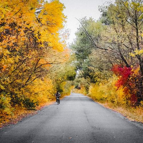 Photo #6556377