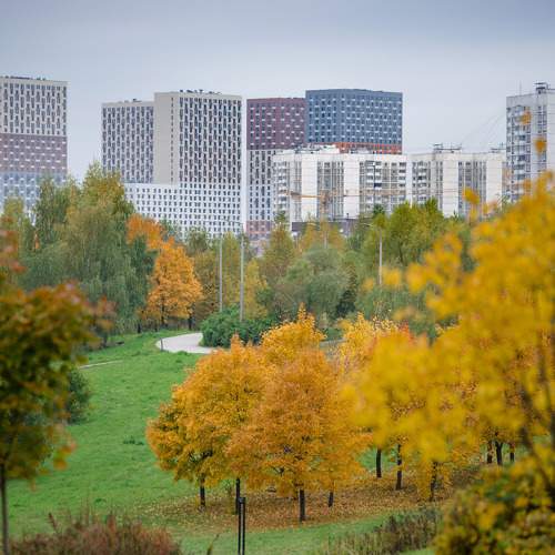 Осень 2021 в Москве.