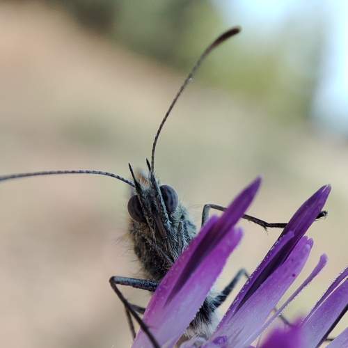 Photo #6556904