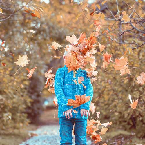 Photo #6556963