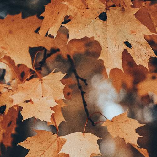 Photo #6556998