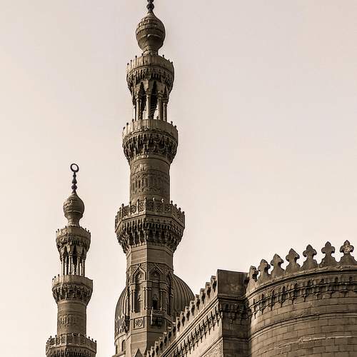 Photo #6557342