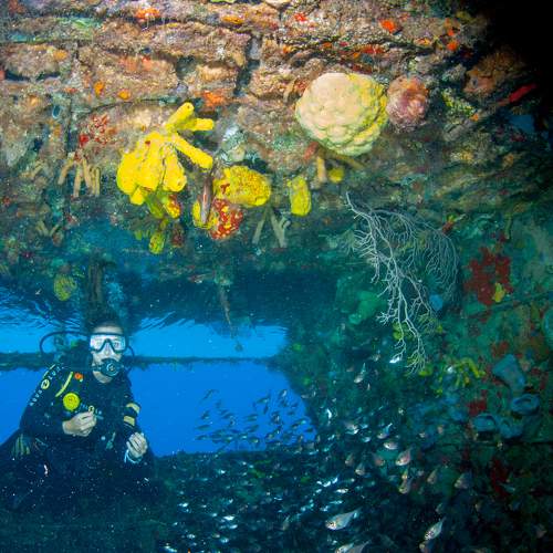 Inside the Mama Vina wreck ship, Playa del Carmen, Quintana Roo, Mexico