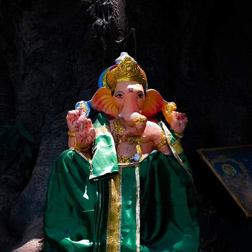 Photo #6557480