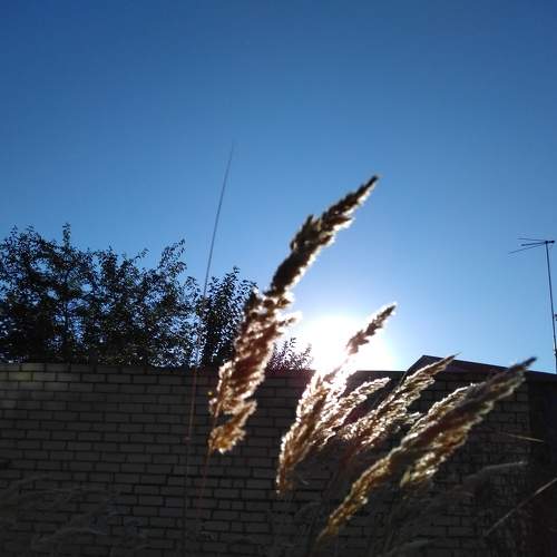 Photo #6557715