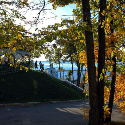 Photo #6557738