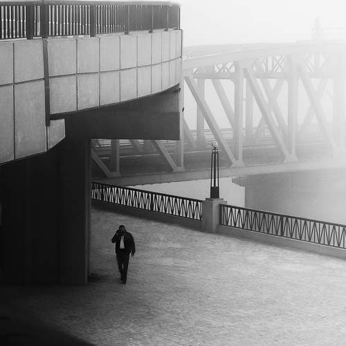 Foggy morning