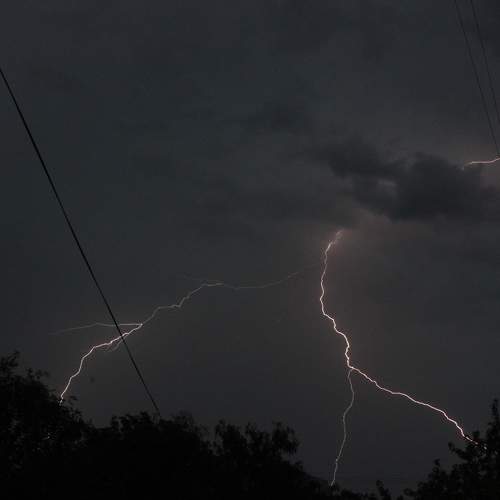 Photo #6557848