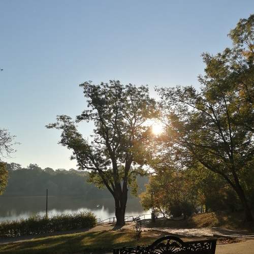 Photo #6557866