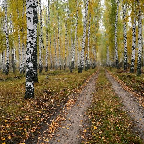 Photo #6557910