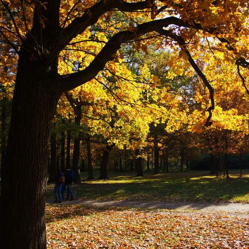 Photo #6557976