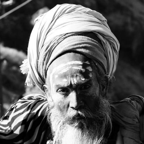 The vagrant