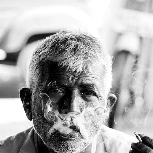 Photo #6558067