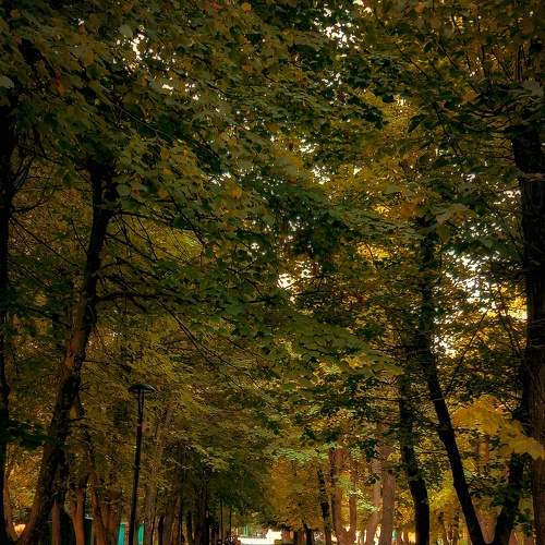 Photo #6558125