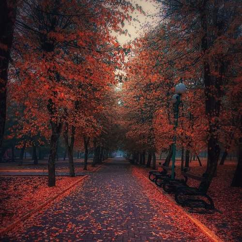 Photo #6558135