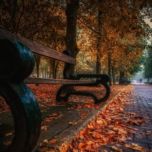 Photo #6558140