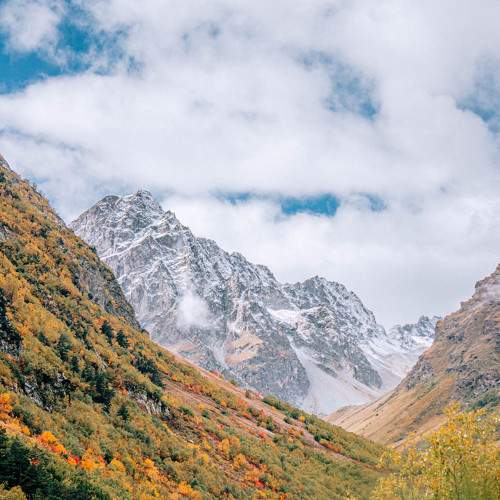 Photo #6558205