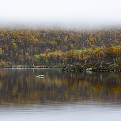 Photo #6558421
