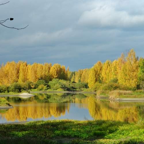 Photo #6558617