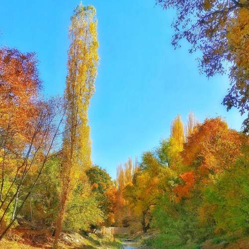 Photo #6558727