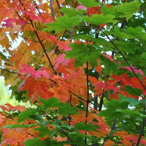 Photo #6558751