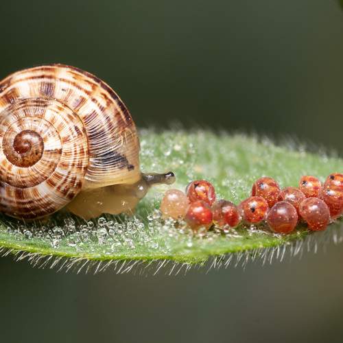 Photo #6558847